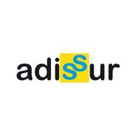 Logo de la entidadAsociación de Discapacitados del Sur ADISSUR